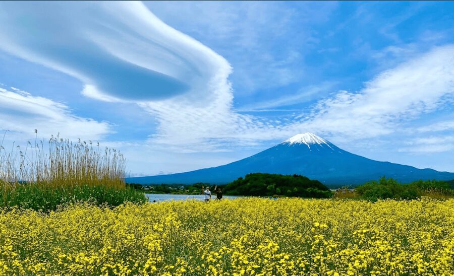 From Tokyo:Mount Fuji&Hakone Customize Full Day Private Tour - Gotemba Premium Outlets: shopping at the end