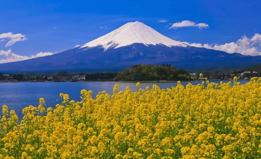From Tokyo:Mount Fuji&Hakone Customize Full Day Private Tour - How much can you see in ten hours?