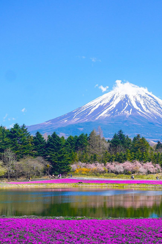 From Tokyo: Mount Fuji & Hakone Customize Private Day Tour - Key points before you book