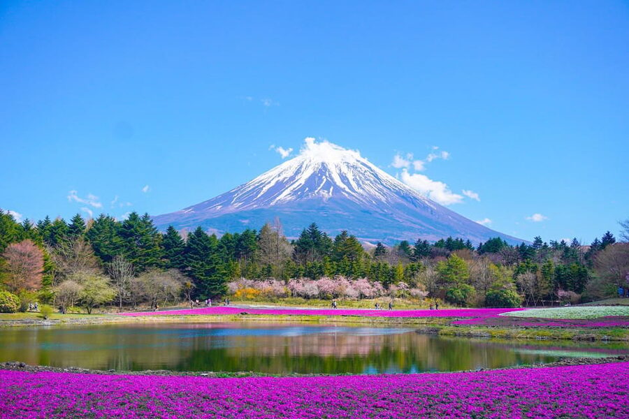 From Tokyo: Mount Fuji & Hakone Customize Private Day Tour - Timing, traffic, and the real length of the day