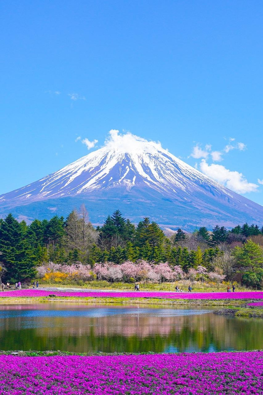 From Tokyo: Mount Fuji & Hakone Customize Private Day Tour - Oishi Park and the seasonal side of Fuji