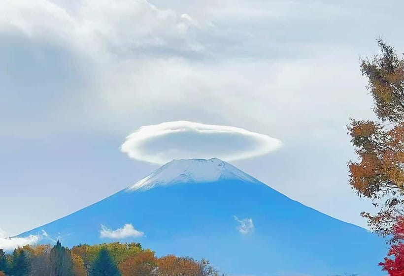 From Tokyo: Mt Fuji, Arakurayama and Kawaguchi Lake Day Trip - Lake Kawaguchi, Oishi Park, and the seasonal swap