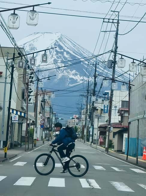 From Tokyo: Mt. Fuji & Hakone Private Day Trip - Chureito Pagoda: the famous view worth earning