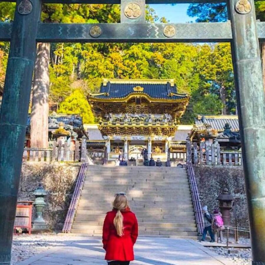 From Tokyo: Private Nikko World Heritage Sights One Day Trip - Nikko National Park without transport puzzles