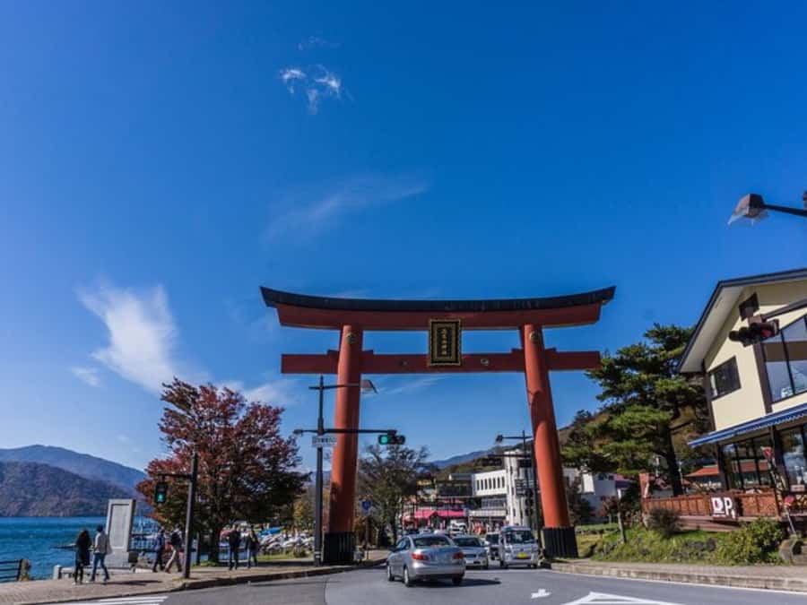 From Tokyo: Private Nikko World Heritage Sights One Day Trip - Toshogu Shrine and the Tokugawa story