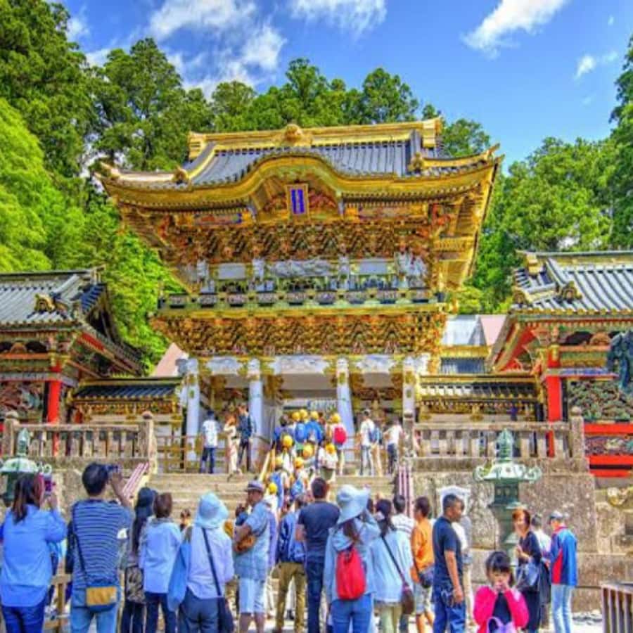 From Tokyo: Private Nikko World Heritage Sights One Day Trip - Kegon Falls, Nikko’s dramatic stop