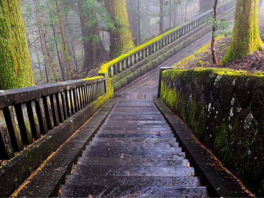 From Tokyo: Private Nikko World Heritage Sights One Day Trip - Shinkyo Bridge and the shorter heritage stops