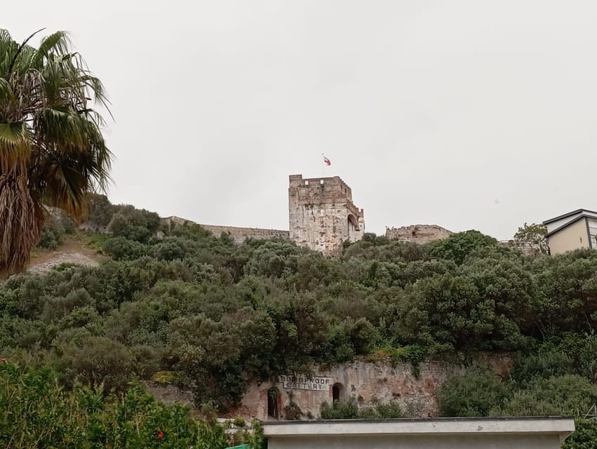 From Torremolinos: Day Trip to Gibraltar - Crossing into Gibraltar with the right documents