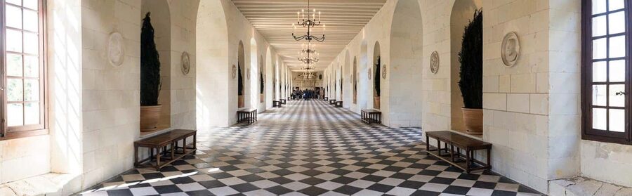 From Tours/Amboise: Chenonceau & Chambord Chateaux Day Trip - Timing, pickup, and the small details that matter