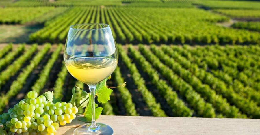 From Tours: Loire Valley Wineries Day Trip with Tastings - Should you book the Loire Valley Wineries Day Trip?