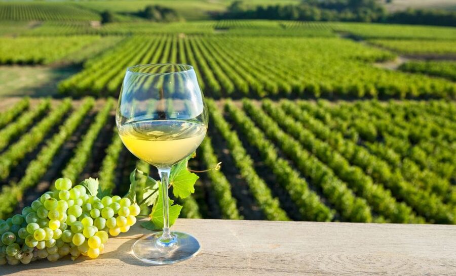 From Tours: Loire Valley Wineries Day Trip with Tastings - What the $182 price buys you