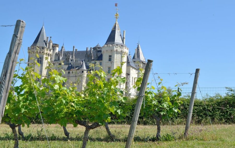 From Tours: Loire Valley Wineries Day Trip with Tastings - The first tasting: wine from the Chinon area