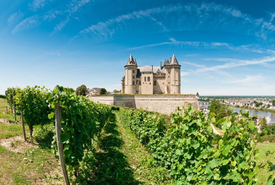 From Tours: Loire Valley Wineries Day Trip with Tastings - Chinon for two hours of food and streets