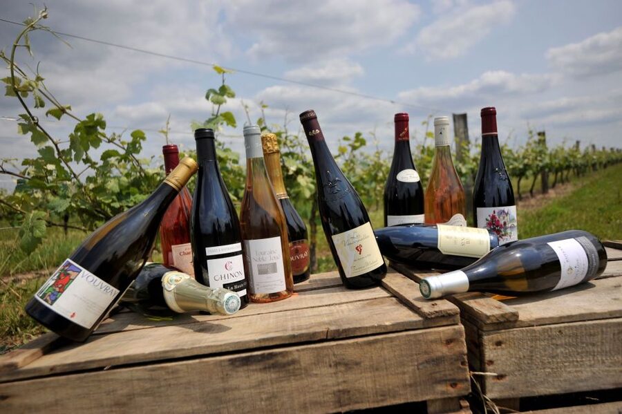 From Tours: Loire Valley Wineries Day Trip with Tastings - Bourgueil and the Cabernet Franc vineyards