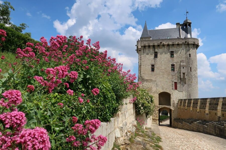 From Tours: Loire Valley Wineries Day Trip with Tastings - Why the guide matters so much