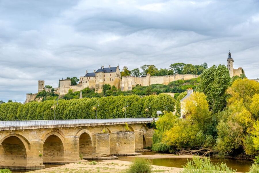 From Tours: Loire Valley Wineries Day Trip with Tastings - Who will enjoy this day most