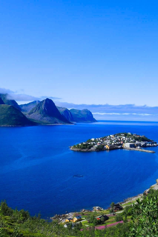From Tromsø:(Chinese)Senja Day Trip - Ersfjord and the famous golden toilet