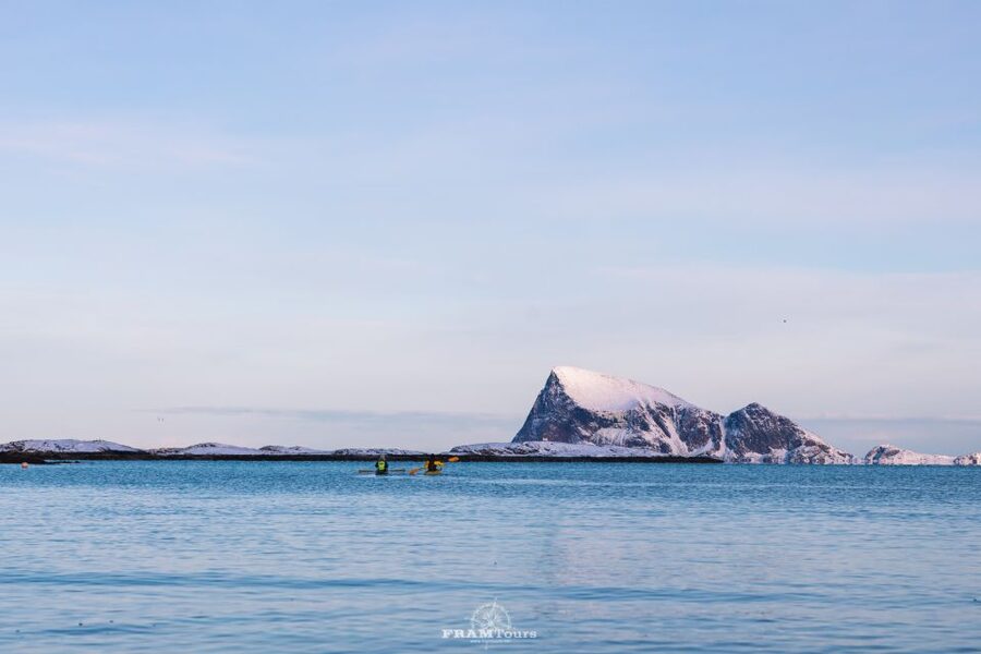 From Tromsø: Senja Discovery Arctic Day Trip with Lunch - Wildlife is possible, but never promised