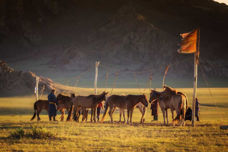 From Ulaanbaatar: Day Trip to Hustai National Park - Finding the wild horses in Hustai National Park