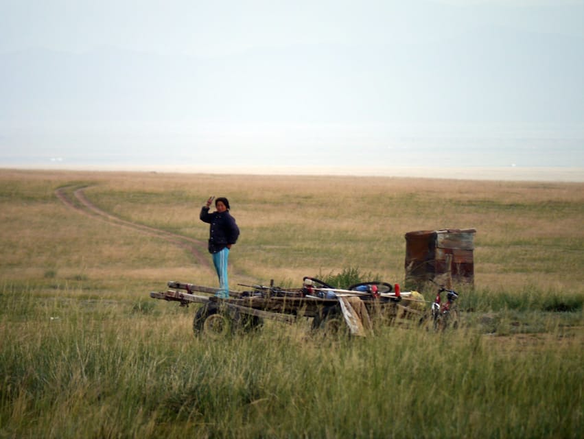 From Ulaanbaatar: Day Trip to Hustai National Park - Lunch and a look at Mongolian family life
