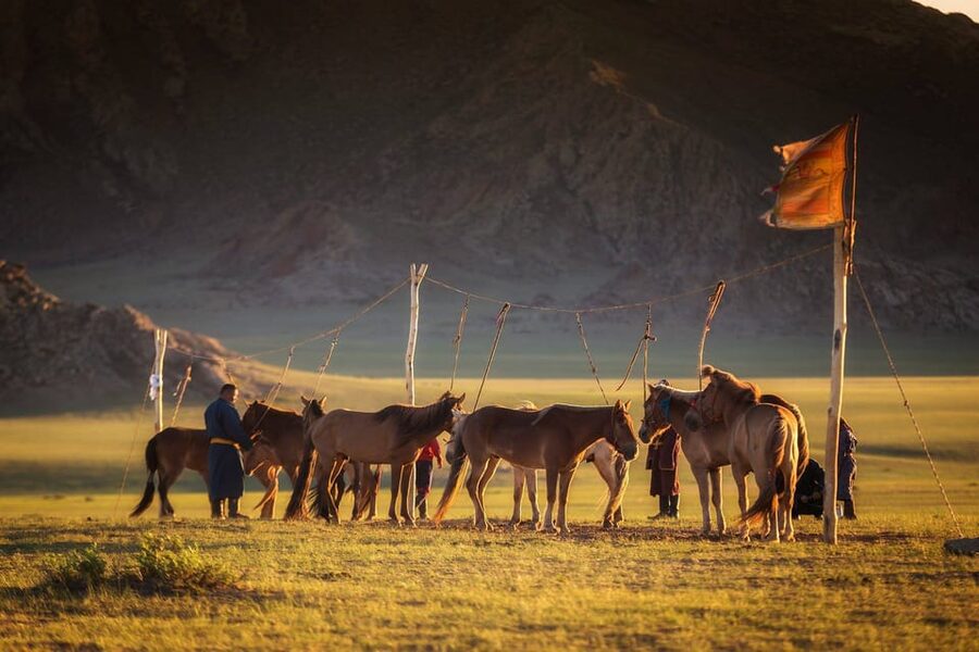 From Ulaanbaatar: Day Trip to Hustai National Park - What the English-speaking guide adds