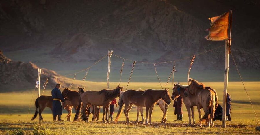 From Ulaanbaatar: Day Trip to Hustai National Park - Is $195 good value for six hours?