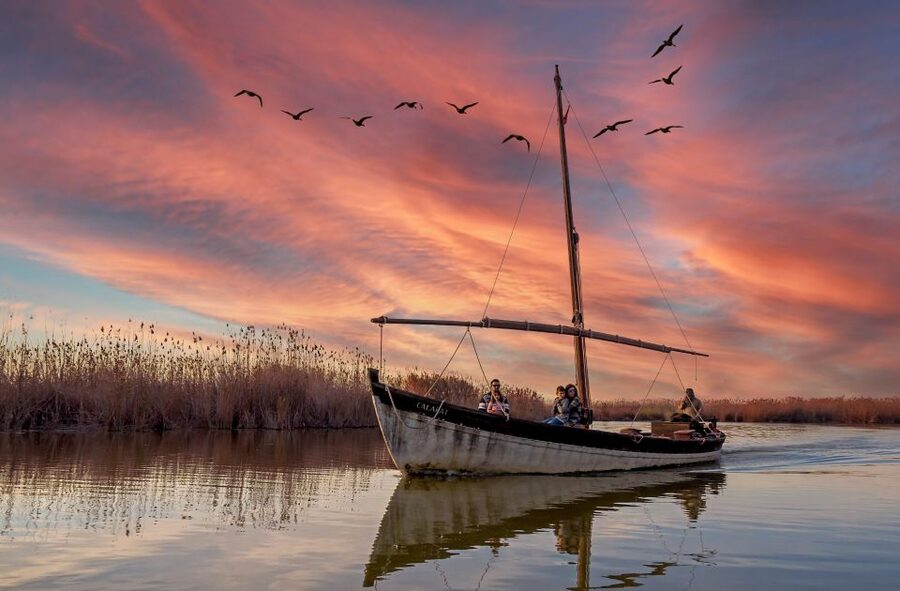 From Valencia: Albufera Day Trip with Boat Tour and Transfer - Why Albufera makes a worthwhile side trip from Valencia