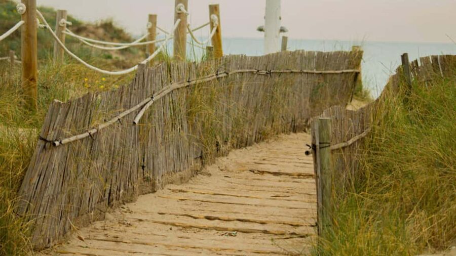From Valencia: Albufera Day Trip with Boat Tour and Transfer - El Saler dunes and the meeting of sea and lagoon