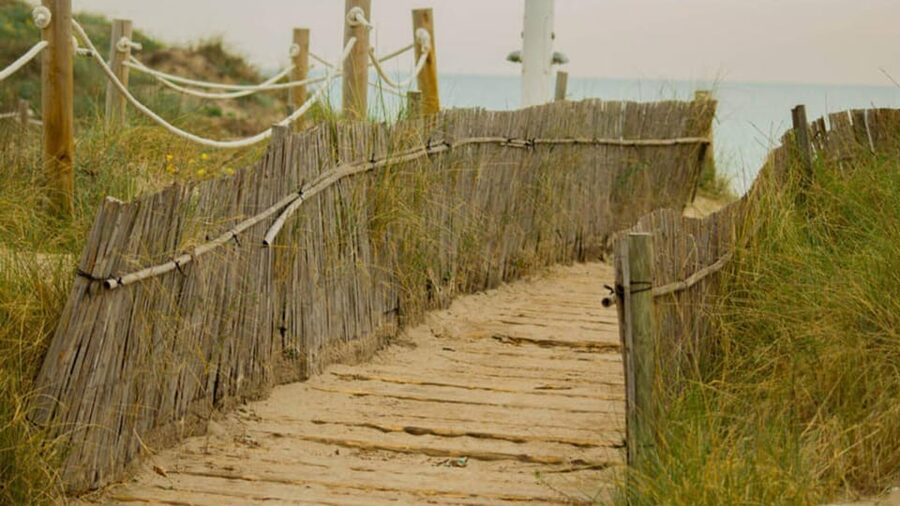 From Valencia: Albufera Day Trip with Boat Tour and Transfer - El Palmar, traditional homes, and fishing life