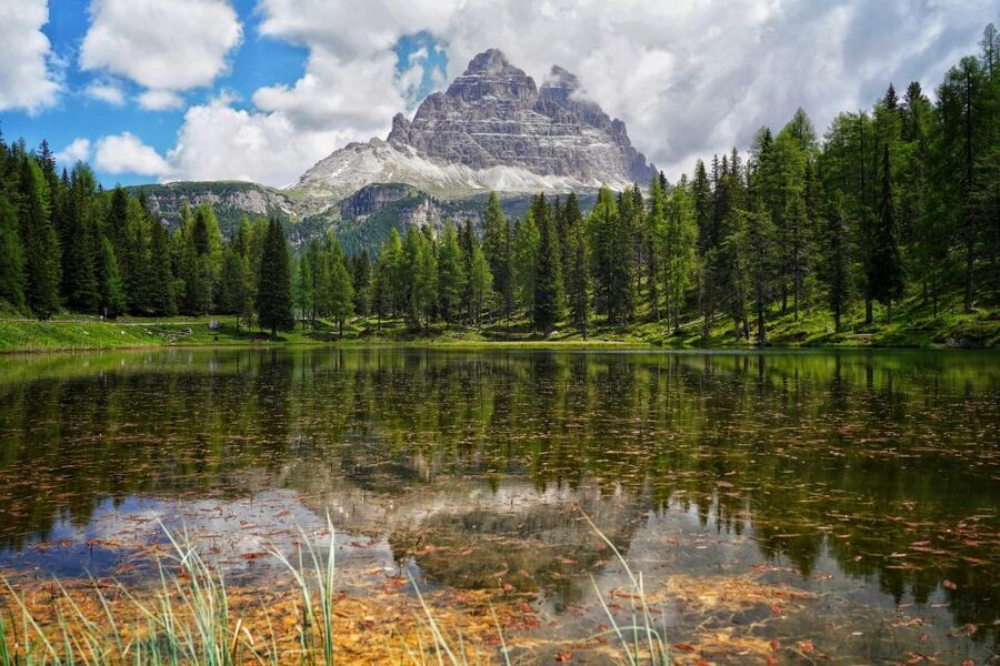 From Venice: Dolomites Day Trip - Key points to know before you book