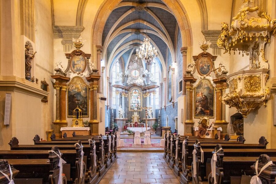 From Vienna: Bratislava Day Trip - Should you book the Vienna to Bratislava day trip?