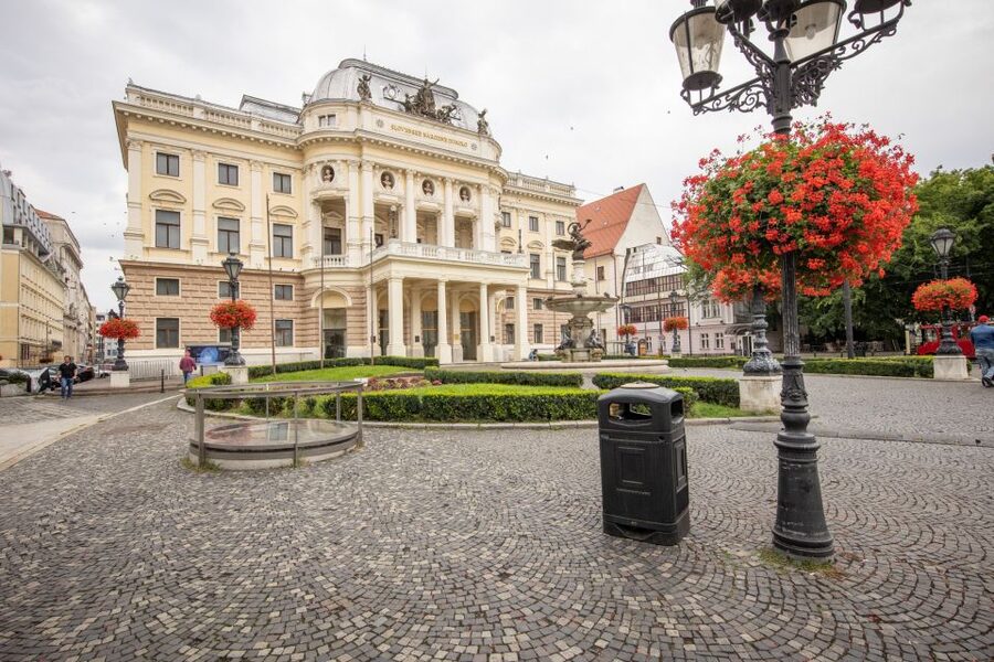 From Vienna: Bratislava Day Trip - Seeing more by panoramic car