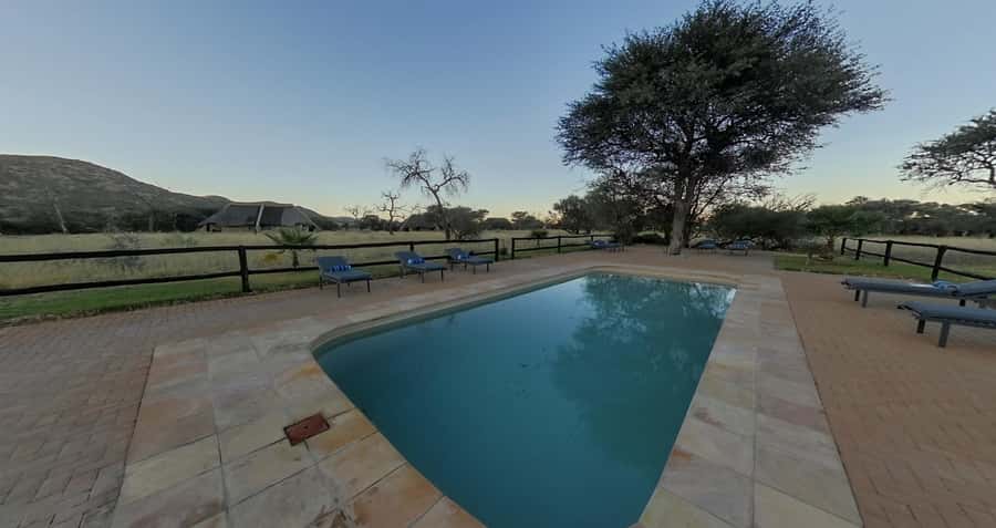 From Windhoek: Okapuka Safari Lodge Day Trip - Key points to know before booking