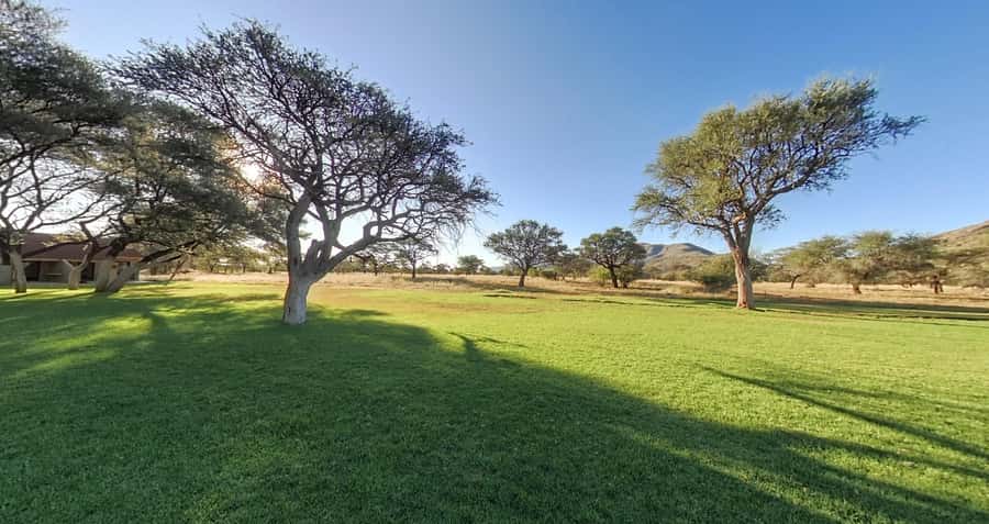 From Windhoek: Okapuka Safari Lodge Day Trip - A quick safari from Windhoek