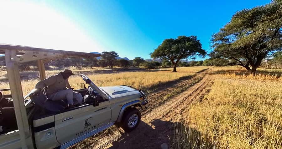 From Windhoek: Okapuka Safari Lodge Day Trip - The ranch setting beneath the camel thorn trees