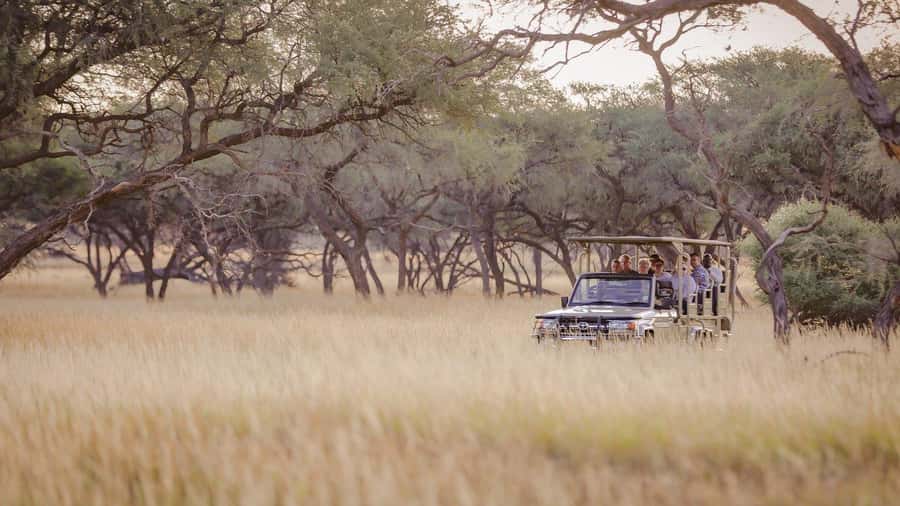 From Windhoek: Okapuka Safari Lodge Day Trip - Accessibility, luggage, and what to bring