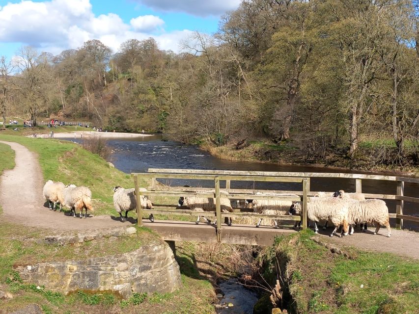 From York: Herriot and Yorkshire Dales Day Trip - Key points at a glance