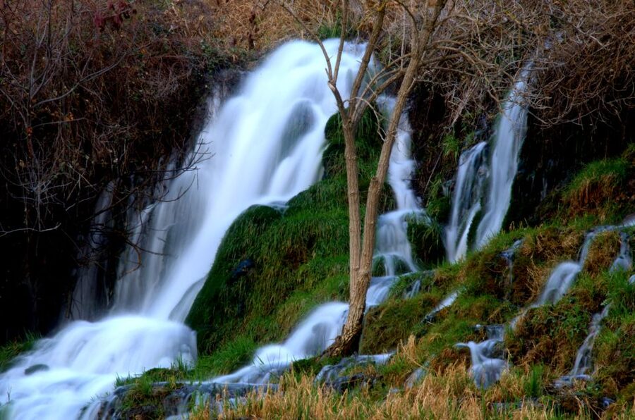 From Zadar: Krka National Park and Waterfalls Day Trip - Walking through Krka and seeing Skradinski Buk