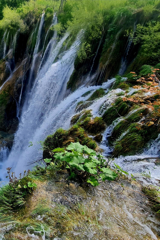 From Zadar: Plitvice Lakes Day Trip with Guide and Boat Tour - Why Plitvice works as a day trip from Zadar