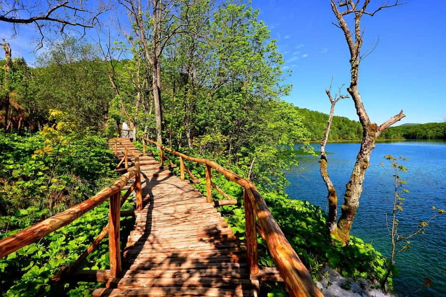 From Zagreb: Rastoke and Plitvice lakes Guided Day Trip - Who should book this day trip