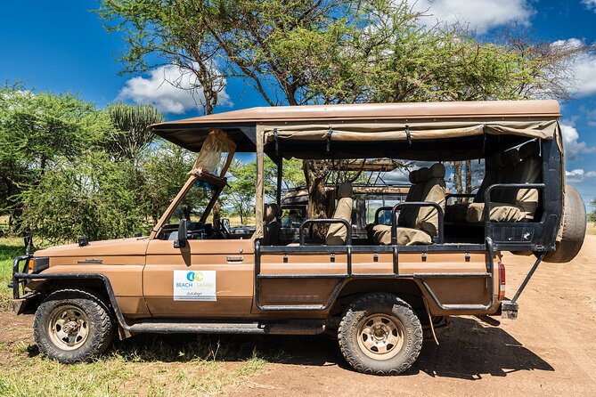 From Zanzibar: Mikumi Safari Day Trip with Flights and Meal - The short flight to Mikumi