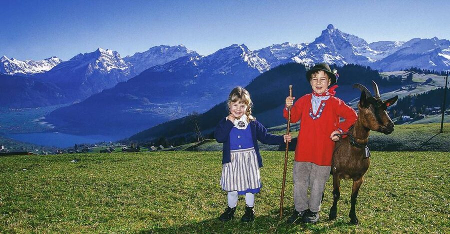 From Zurich: Bus Day Trip to Heidiland and Liechtenstein - Why this Zurich day trip works