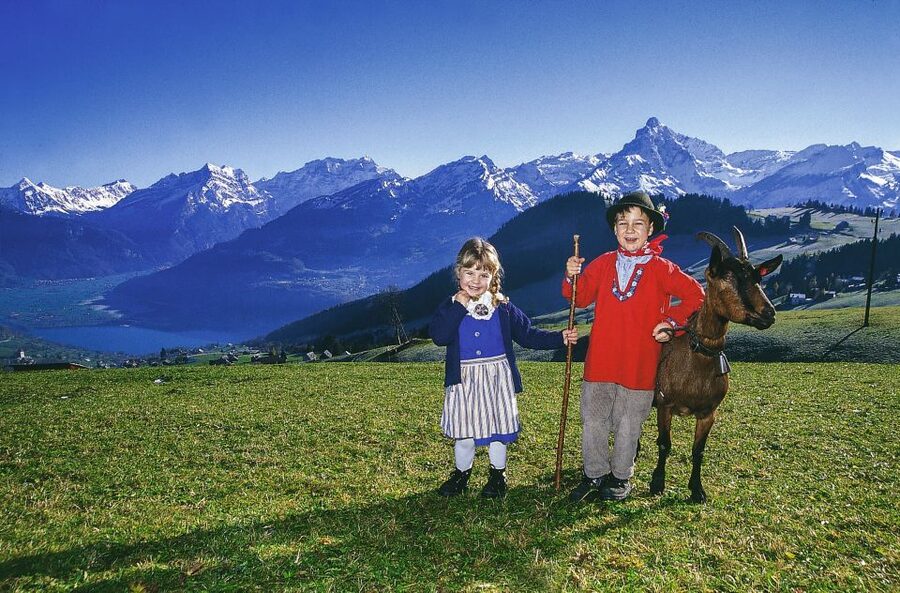 From Zurich: Bus Day Trip to Heidiland and Liechtenstein - Meeting the coach near Zurich HB