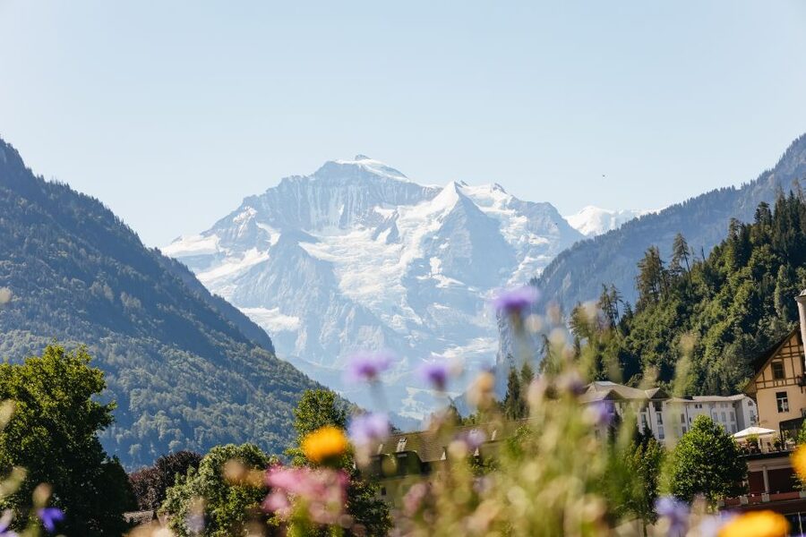 From Zurich: Day Trip to Jungfraujoch - Top of Europe - Who will enjoy this tour most?