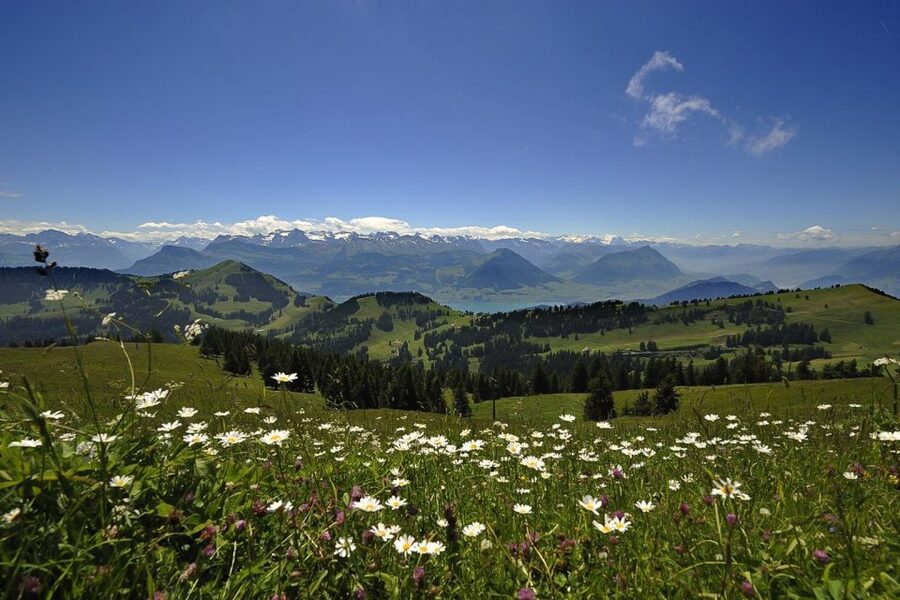 From Zurich: Day Trip to Rigi and Lake Lucerne - The 1871 mountain railway to Vitznau