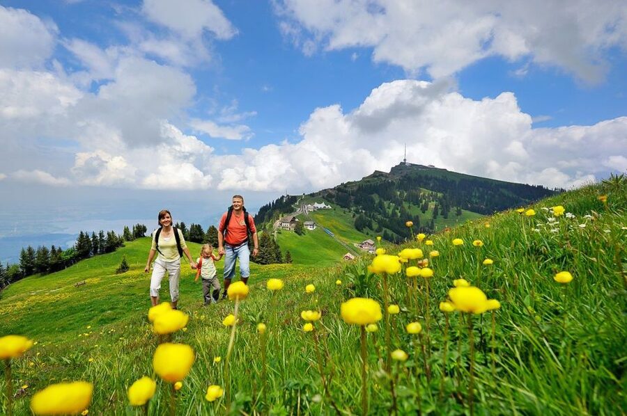 From Zurich: Day Trip to Rigi and Lake Lucerne - Lake Lucerne by boat