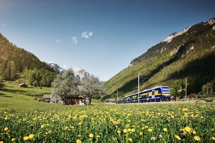 From Zurich: Grindelwald First Mountain Adventure Day Trip - Interlaken gives you a first alpine taste