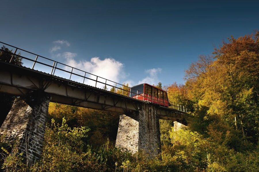 From Zurich: Interlaken Day Trip and Harder Kulm Viewpoint - Leaving Zurich for the Bernese Oberland