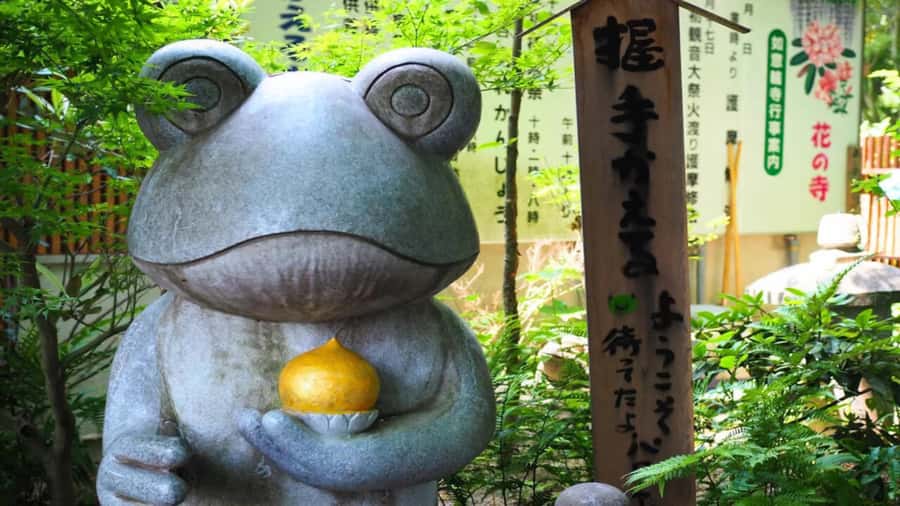 Fukuoka: Beppu Hells HotSpring, Frog Temple & Yufuin DayTrip - Nyoirin-ji Frog Temple: A Quirky First Stop