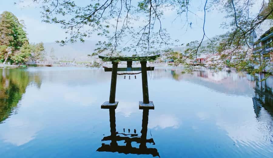 Fukuoka: Beppu Hells HotSpring, Frog Temple & Yufuin DayTrip - Guides, Group Pace, and the Real Value of $96